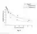 Fig. 12 - mRNA cap analogs