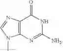 Fig. 24 - mRNA cap analogs