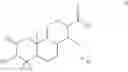 Fig. 03 - New Terpenes And Macrocycles