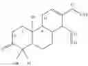 Fig. 09 - New Terpenes And Macrocycles