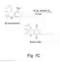 Fig. 03 - Compositions including quinonoid derivatives of cannabinoids for therapeutic use