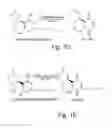 Fig. 04 - Compositions including quinonoid derivatives of cannabinoids for therapeutic use