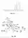 Fig. 05 - Compositions including quinonoid derivatives of cannabinoids for therapeutic use