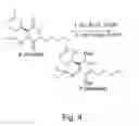 Fig. 07 - Compositions including quinonoid derivatives of cannabinoids for therapeutic use