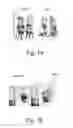 Fig. 14 - Compositions including quinonoid derivatives of cannabinoids for therapeutic use