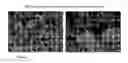 Fig. 05 - Driectly Compressible High Functionality Granular Microcrystalline Cellulose Based Excipient, Manufacturing Process and Use Thereof