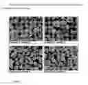Fig. 09 - Driectly Compressible High Functionality Granular Microcrystalline Cellulose Based Excipient, Manufacturing Process and Use Thereof