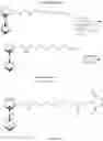 Fig. 09 - Method of separating and purifying cellular components using non-covalent bond between cucurbituril derivative and guest compound and apparatus using the same