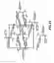 Fig. 28 - Crystalline antifungal compounds