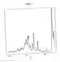 Fig. 02 - Nateglinide crystals