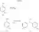 Fig. 09 - Process for preparing substituted biphenylanilides