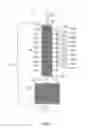 Fig. 02 - Isothermal reactor for hydrocarbon nitration
