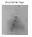 Fig. 01 - MICRO-INSULT TEST AND USE THEREFOR