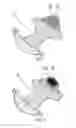 Fig. 02 -  DIAPER