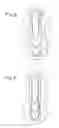 Fig. 06 - ABSORBENT ARTICLE