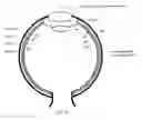 Fig. 07 - Methods for treating hyperopia and presbyopia via laser tunneling