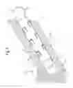 Fig. 06 - Bone anchoring element