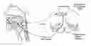 Fig. 01 - Systems and methods for maintaining airway patency