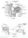 Fig. 04 - Systems and methods for maintaining airway patency