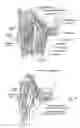 Fig. 15 - Systems and methods for maintaining airway patency