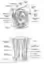 Fig. 16 - Systems and methods for maintaining airway patency