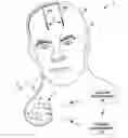 Fig. 01 - Electrical stimulation therapy using decaying current pulses