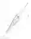 Fig. 03 - CAPSULE CAPTURE SNARE