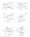 Fig. 04 - Artificial intervertebral spacer