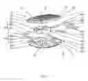 Fig. 02 - INTERVERTEBRAL IMPLANT WITH JOINT ELEMENTS CARRIED BY UNIVERSAL JOINT