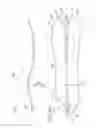 Fig. 03 - ELECTRONICALLY CONTROLLED PROSTHETIC SYSTEM