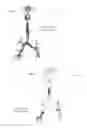 Fig. 06 - METHOD FOR MULTI-SCALE MESHING OF BRANCHING BIOLOGICAL STRUCTURES