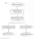 Fig. 08 - METHOD FOR MULTI-SCALE MESHING OF BRANCHING BIOLOGICAL STRUCTURES