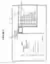 Fig. 11 - Reading, organizing and manipulating accounting data