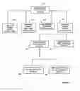 Fig. 03 - Consumer behaviors at lender level
