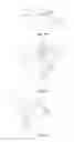 Fig. 02 - METHOD FOR PREPARING A CHICKEN THIGH PRODUCT