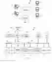 Fig. 02 - Identifying dynamically changing virtual storage devices