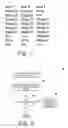 Fig. 07 - Non-graphical model dependencies in graphical modeling environments