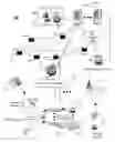 Fig. 01 - Apparatus and method for transmitting media content