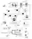 Fig. 02 - Apparatus and method for transmitting media content