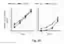 Fig. 06 - TRANSCRIPTION FACTOR FOR PROMOTING LATERAL ROOT GROWTH UNDER NITROGEN-LIMITING CONDITIONS
