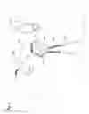 Fig. 02 - Application of Bolo Ties to Personal and Decorative Articles
