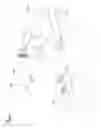 Fig. 03 - Application of Bolo Ties to Personal and Decorative Articles