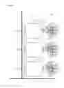 Fig. 08 - Vertical wall garden