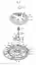 Fig. 04 - Pulsator device usable with washing machine and washing machine having the same