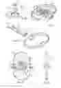 Fig. 07 - Adjustable rotating blade assembly avocado cutter and peeler