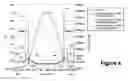 Fig. 06 - LASH ADJUSTER