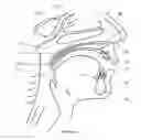 Fig. 02 - SYSTEM AND METHOD FOR TREATMENT OF SNORING