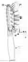 Fig. 01 - Vented cushion brush