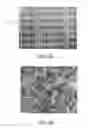 Fig. 03 - Solar cell and method for fabricating the same