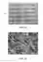 Fig. 07 - Solar cell and method for fabricating the same